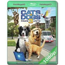 Perros y gatos 3 2020 ES EN